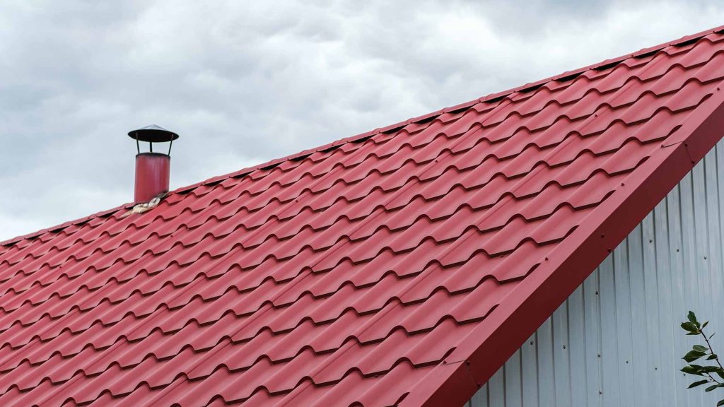 dimnikarske storitve snedim